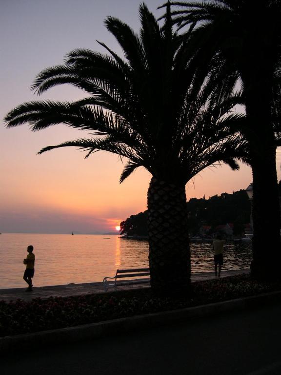 Villa Radovic Cavtat Luaran gambar